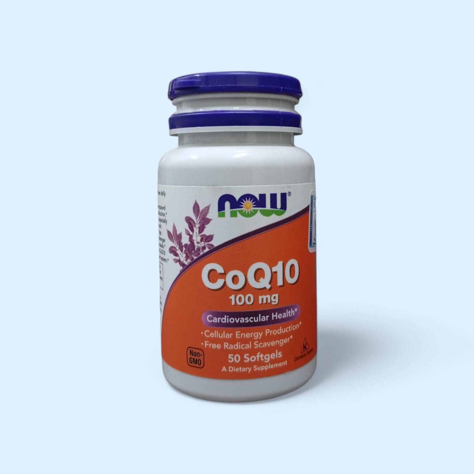 coq10 (coenzyme q10)